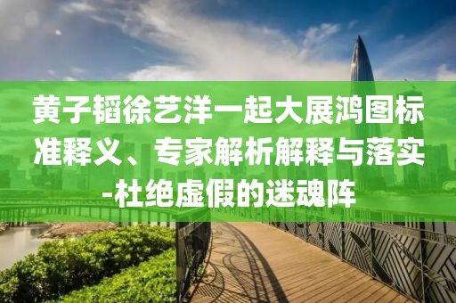 黃子韜徐藝洋一起大展鴻圖標(biāo)準(zhǔn)釋義、專家解析解釋與落實-杜絕虛假的迷魂陣
