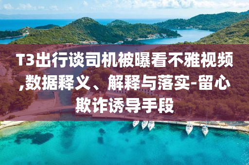 T3出行談司機(jī)被曝看不雅視頻,數(shù)據(jù)釋義、解釋與落實(shí)-留心欺詐誘導(dǎo)手段
