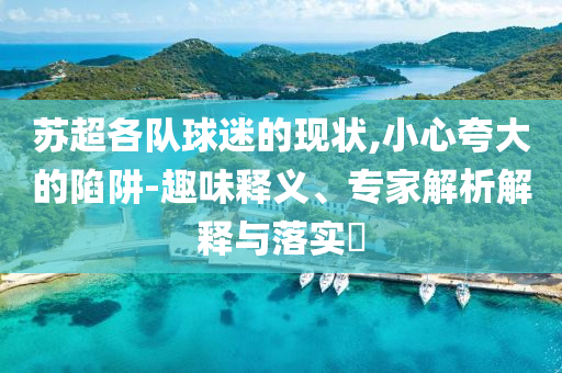 蘇超各隊(duì)球迷的現(xiàn)狀,小心夸大的陷阱-趣味釋義、專(zhuān)家解析解釋與落實(shí)?