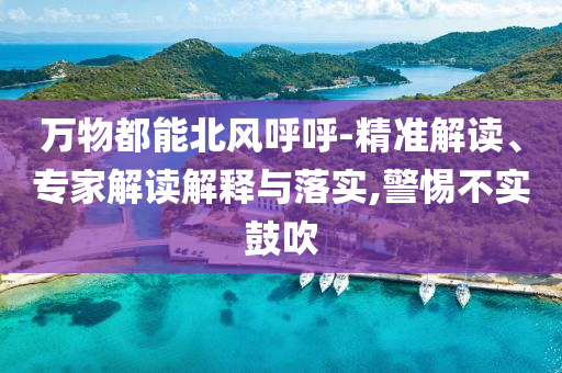 萬物都能北風呼呼-精準解讀、專家解讀解釋與落實,警惕不實鼓吹