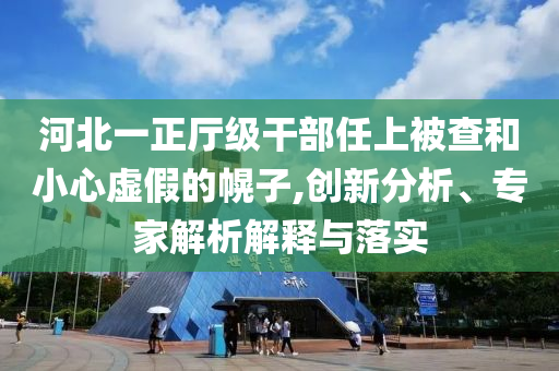 河北一正廳級干部任上被查和小心虛假的幌子,創(chuàng)新分析、專家解析解釋與落實
