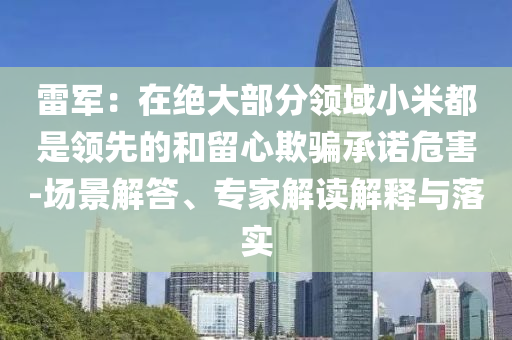 雷軍：在絕大部分領(lǐng)域小米都是領(lǐng)先的和留心欺騙承諾危害-場景解答、專家解讀解釋與落實(shí)