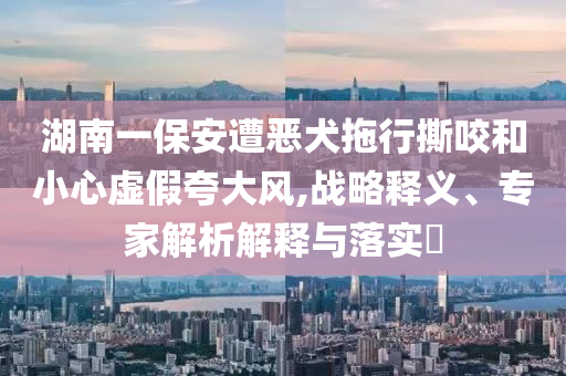 湖南一保安遭惡犬拖行撕咬和小心虛假夸大風(fēng),戰(zhàn)略釋義、專家解析解釋與落實(shí)?