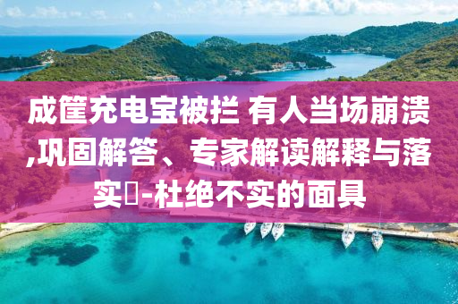 成筐充電寶被攔 有人當(dāng)場(chǎng)崩潰,鞏固解答、專家解讀解釋與落實(shí)?-杜絕不實(shí)的面具