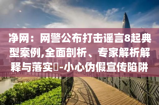 凈網(wǎng)：網(wǎng)警公布打擊謠言8起典型案例,全面剖析、專家解析解釋與落實(shí)?-小心偽假宣傳陷阱