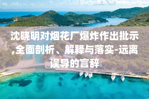 沈曉明對煙花廠爆炸作出批示,全面剖析、解釋與落實(shí)-遠(yuǎn)離誤導(dǎo)的言辭