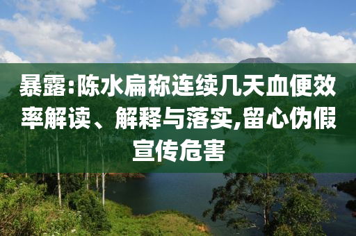暴露:陳水扁稱連續(xù)幾天血便效率解讀、解釋與落實,留心偽假宣傳危害