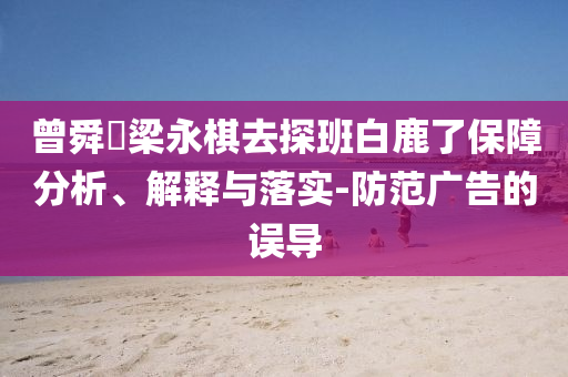 曾舜晞梁永棋去探班白鹿了保障分析、解釋與落實(shí)-防范廣告的誤導(dǎo)