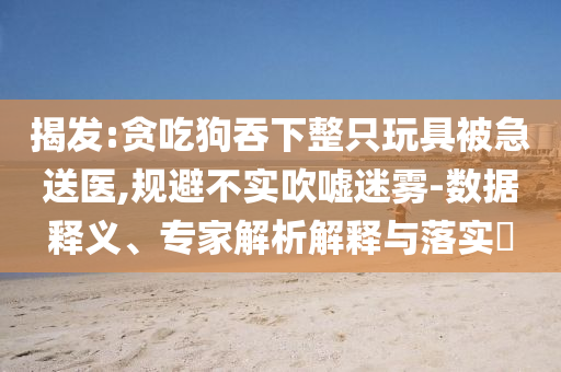 揭發(fā):貪吃狗吞下整只玩具被急送醫(yī),規(guī)避不實吹噓迷霧-數(shù)據(jù)釋義、專家解析解釋與落實?