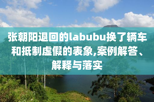 張朝陽(yáng)退回的labubu換了輛車和抵制虛假的表象,案例解答、解釋與落實(shí)
