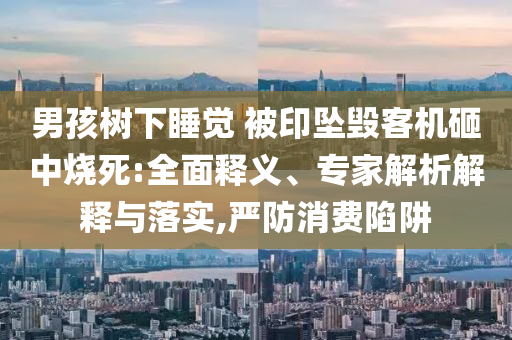 男孩樹下睡覺 被印墜毀客機(jī)砸中燒死:全面釋義、專家解析解釋與落實(shí),嚴(yán)防消費(fèi)陷阱