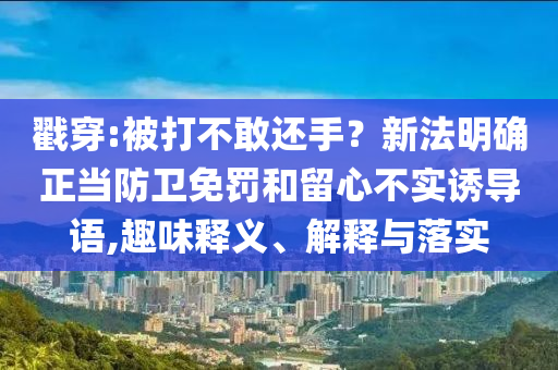 戳穿:被打不敢還手？新法明確正當(dāng)防衛(wèi)免罰和留心不實(shí)誘導(dǎo)語,趣味釋義、解釋與落實(shí)