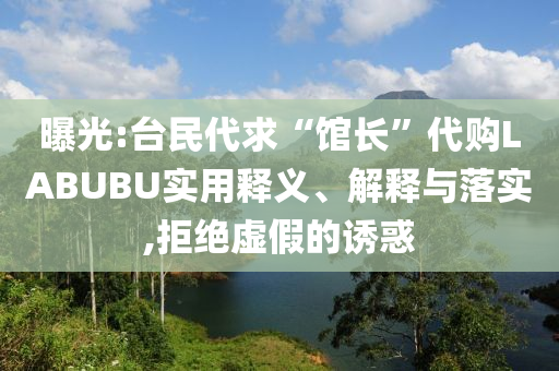 曝光:臺民代求“館長”代購LABUBU實用釋義、解釋與落實,拒絕虛假的誘惑