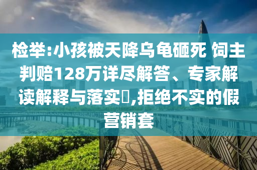 檢舉:小孩被天降烏龜砸死 飼主判賠128萬詳盡解答、專家解讀解釋與落實?,拒絕不實的假營銷套