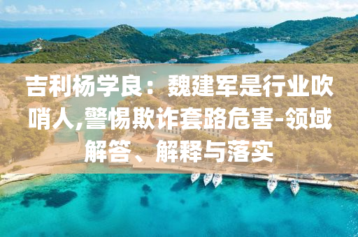 吉利楊學良：魏建軍是行業(yè)吹哨人,警惕欺詐套路危害-領域解答、解釋與落實