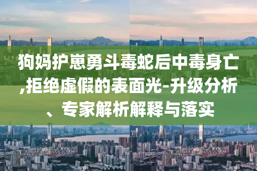 狗媽護(hù)崽勇斗毒蛇后中毒身亡,拒絕虛假的表面光-升級分析、專家解析解釋與落實(shí)