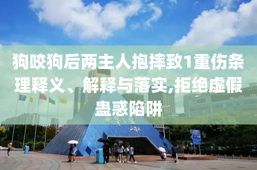 狗咬狗后兩主人抱摔致1重傷條理釋義、解釋與落實(shí),拒絕虛假蠱惑陷阱