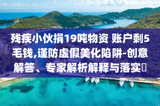 殘疾小伙捐19噸物資 賬戶剩5毛錢,謹(jǐn)防虛假美化陷阱-創(chuàng)意解答、專家解析解釋與落實?