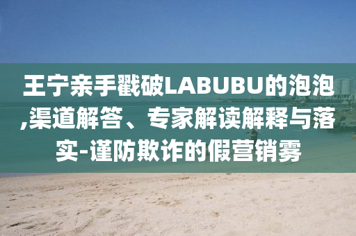 王寧親手戳破LABUBU的泡泡,渠道解答、專家解讀解釋與落實-謹(jǐn)防欺詐的假營銷霧