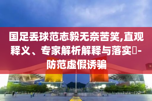 國足丟球范志毅無奈苦笑,直觀釋義、專家解析解釋與落實?-防范虛假誘騙
