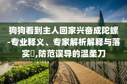狗狗看到主人回家興奮成陀螺-專業(yè)釋義、專家解析解釋與落實(shí)?,防范誤導(dǎo)的溫柔刀