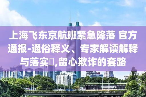 上海飛東京航班緊急降落 官方通報-通俗釋義、專家解讀解釋與落實?,留心欺詐的套路