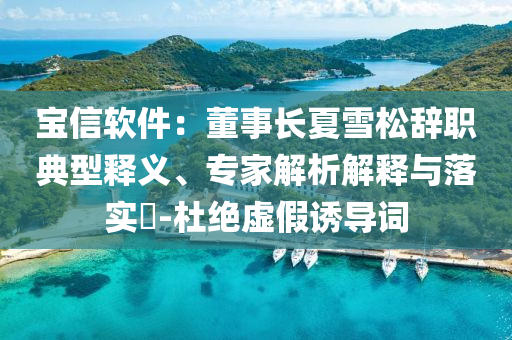 寶信軟件：董事長夏雪松辭職典型釋義、專家解析解釋與落實(shí)?-杜絕虛假誘導(dǎo)詞