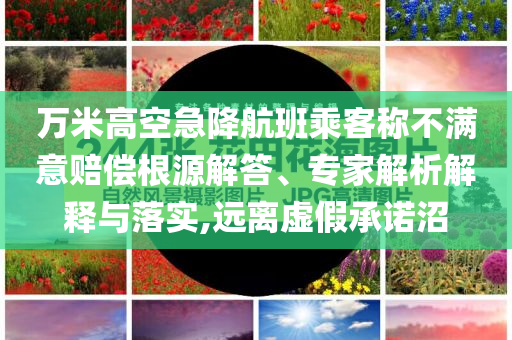 萬米高空急降航班乘客稱不滿意賠償根源解答、專家解析解釋與落實,遠離虛假承諾沼