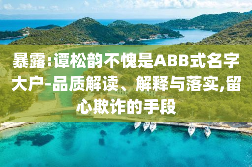 暴露:譚松韻不愧是ABB式名字大戶-品質(zhì)解讀、解釋與落實,留心欺詐的手段