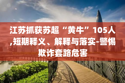 江蘇抓獲蘇超“黃?！?05人,短期釋義、解釋與落實-警惕欺詐套路危害