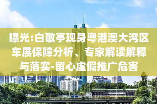 曝光:白敬亭現(xiàn)身粵港澳大灣區(qū)車展保障分析、專家解讀解釋與落實-留心虛假推廣危害