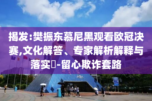 揭發(fā):樊振東慕尼黑觀看歐冠決賽,文化解答、專家解析解釋與落實?-留心欺詐套路