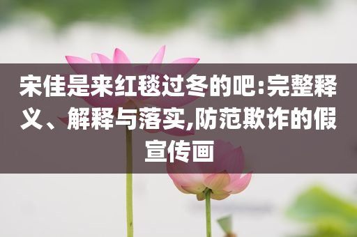 宋佳是來(lái)紅毯過(guò)冬的吧:完整釋義、解釋與落實(shí),防范欺詐的假宣傳畫(huà)