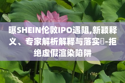 曝SHEIN倫敦IPO遇阻,新穎釋義、專家解析解釋與落實?-拒絕虛假渲染陷阱