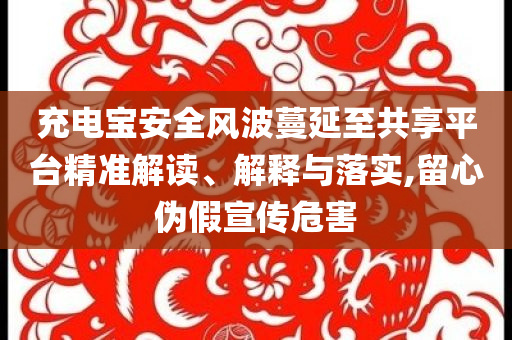 充電寶安全風(fēng)波蔓延至共享平臺(tái)精準(zhǔn)解讀、解釋與落實(shí),留心偽假宣傳危害