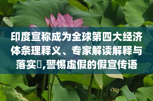 印度宣稱成為全球第四大經(jīng)濟(jì)體條理釋義、專家解讀解釋與落實(shí)?,警惕虛假的假宣傳語