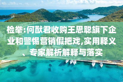 檢舉:何猷君收購(gòu)?fù)跛悸斊煜缕髽I(yè)和警惕營(yíng)銷假把戲,實(shí)用釋義、專家解析解釋與落實(shí)
