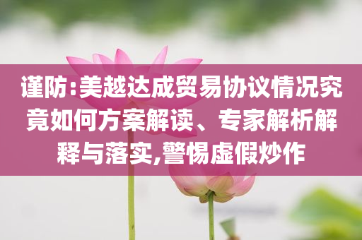 謹防:美越達成貿(mào)易協(xié)議情況究竟如何方案解讀、專家解析解釋與落實,警惕虛假炒作