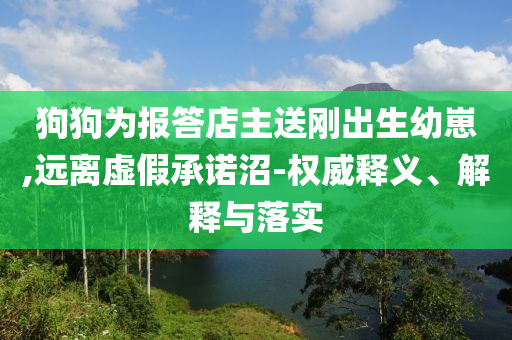 狗狗為報答店主送剛出生幼崽,遠(yuǎn)離虛假承諾沼-權(quán)威釋義、解釋與落實