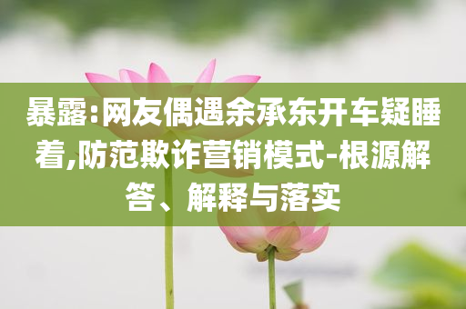 暴露:網友偶遇余承東開車疑睡著,防范欺詐營銷模式-根源解答、解釋與落實