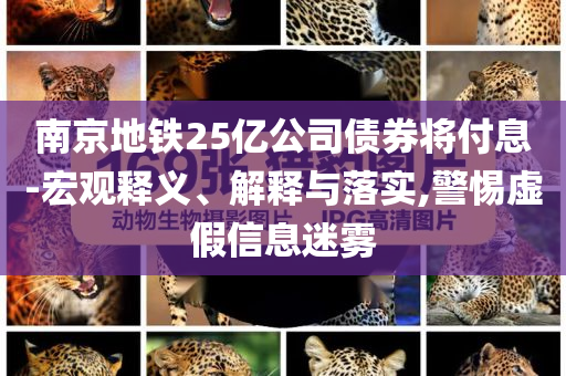 南京地鐵25億公司債券將付息-宏觀釋義、解釋與落實,警惕虛假信息迷霧