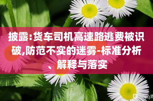 披露:貨車司機高速路逃費被識破,防范不實的迷霧-標準分析、解釋與落實