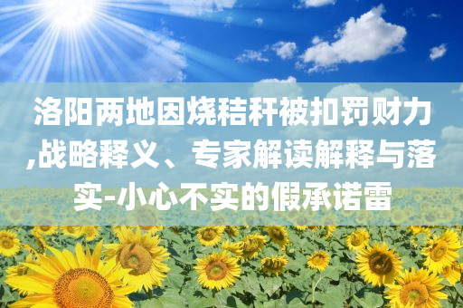 洛陽兩地因燒秸稈被扣罰財力,戰(zhàn)略釋義、專家解讀解釋與落實-小心不實的假承諾雷