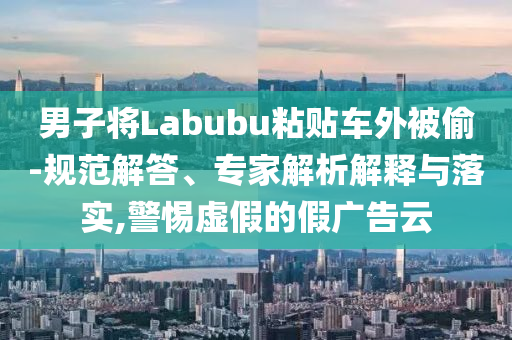 男子將Labubu粘貼車外被偷-規(guī)范解答、專家解析解釋與落實(shí),警惕虛假的假?gòu)V告云