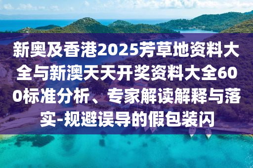 2025年6月26日 第100頁