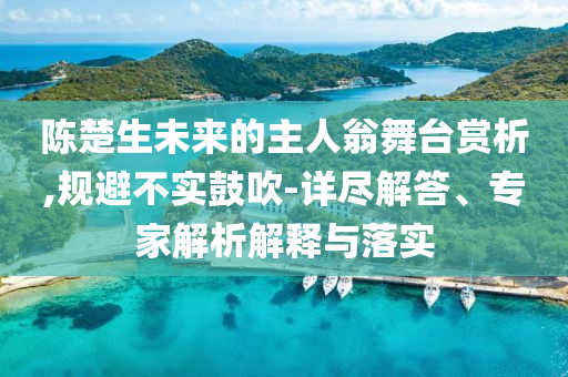 陳楚生未來的主人翁舞臺(tái)賞析,規(guī)避不實(shí)鼓吹-詳盡解答、專家解析解釋與落實(shí)