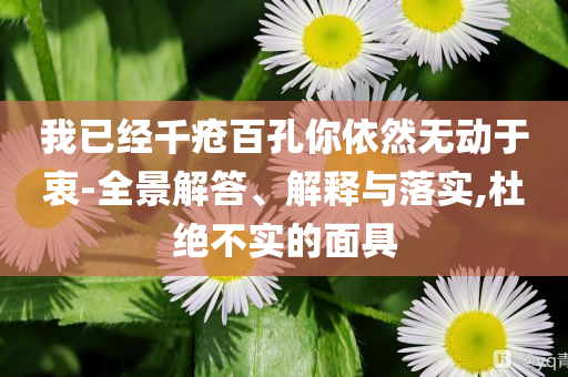 我已經(jīng)千瘡百孔你依然無動(dòng)于衷-全景解答、解釋與落實(shí),杜絕不實(shí)的面具