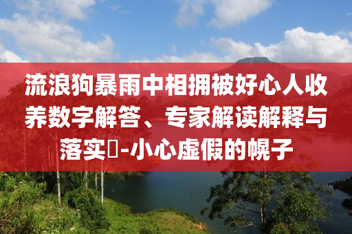 流浪狗暴雨中相擁被好心人收養(yǎng)數(shù)字解答、專家解讀解釋與落實(shí)?-小心虛假的幌子