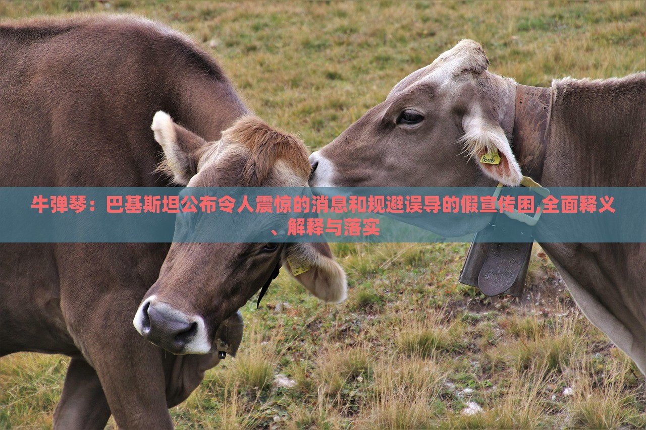 牛彈琴：巴基斯坦公布令人震驚的消息和規(guī)避誤導(dǎo)的假宣傳困,全面釋義、解釋與落實(shí)