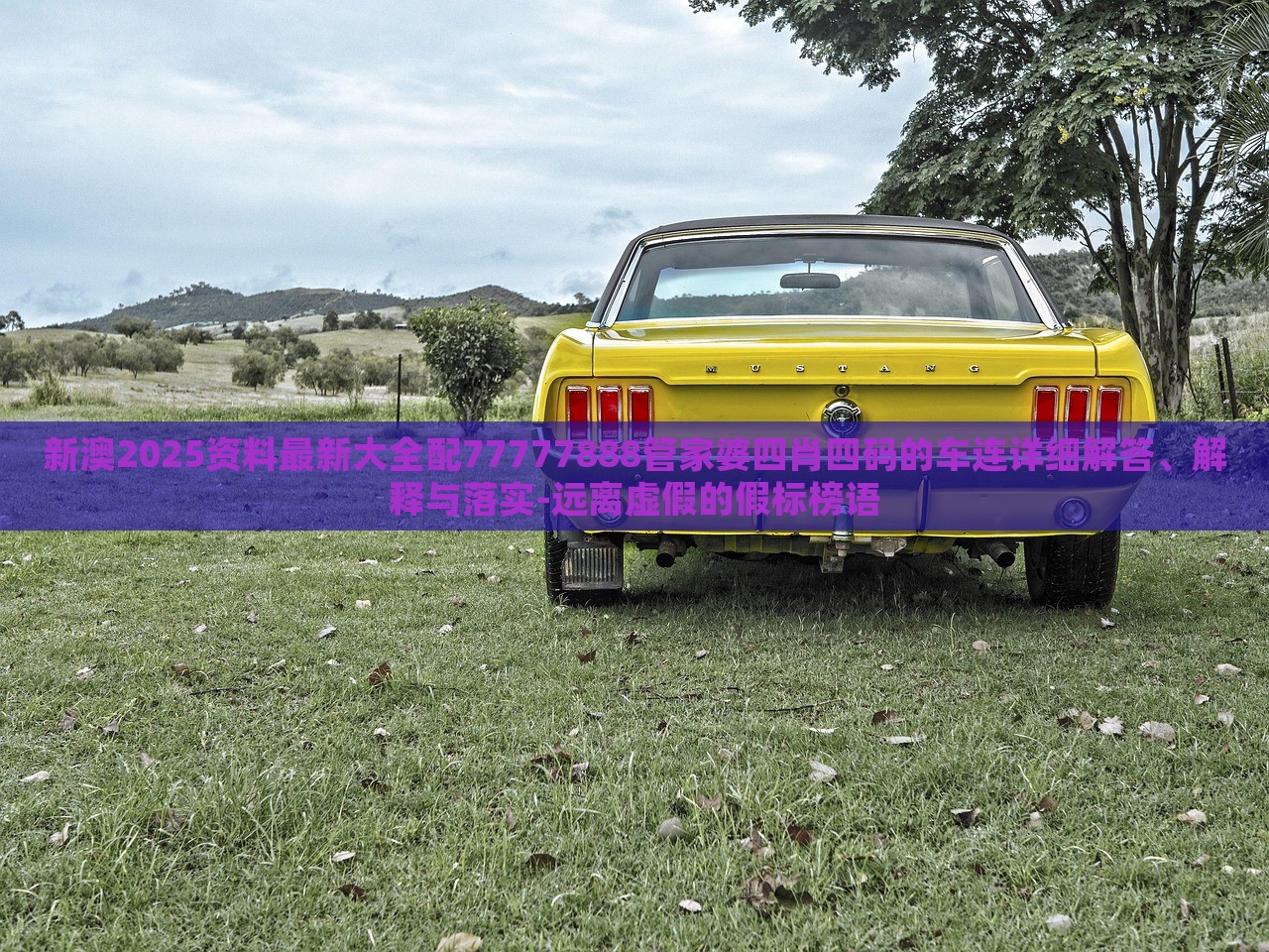 新澳2025資料最新大全配77777888管家婆四肖四碼的車連詳細(xì)解答、解釋與落實-遠(yuǎn)離虛假的假標(biāo)榜語